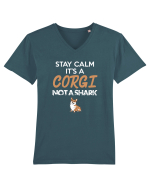 CORGI Tricou mânecă scurtă guler V Bărbat Presenter