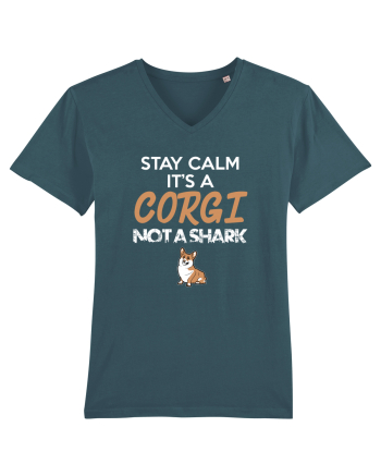 CORGI Stargazer