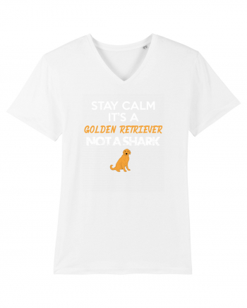 GOLDEN RETRIEVER White