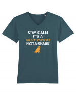 GOLDEN RETRIEVER Tricou mânecă scurtă guler V Bărbat Presenter