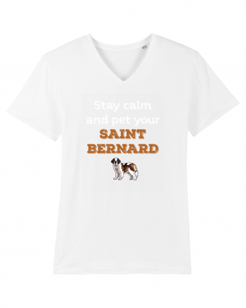 SAINT BERNARD White