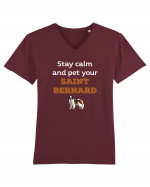 SAINT BERNARD Tricou mânecă scurtă guler V Bărbat Presenter