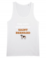 SAINT BERNARD Maiou Bărbat Runs