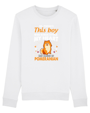 POMERANIAN White