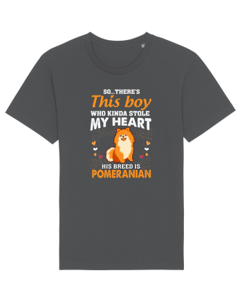 POMERANIAN Anthracite