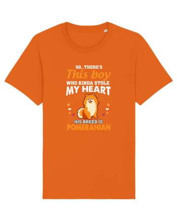 POMERANIAN Bright Orange