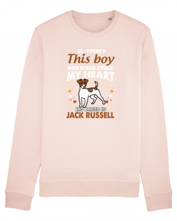 JACK RUSSELL Candy Pink
