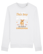 CHIHUAHUA Bluză mânecă lungă Unisex Rise