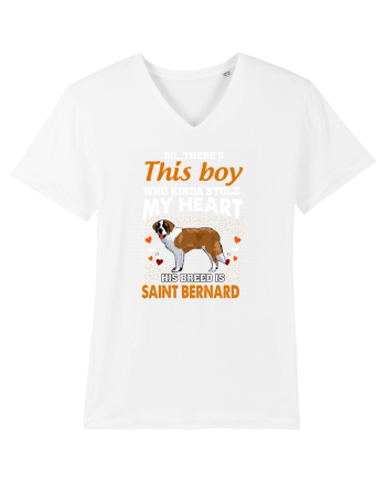 SAINT BERNARD White