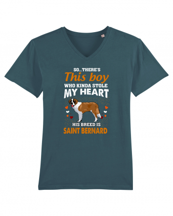 SAINT BERNARD Stargazer