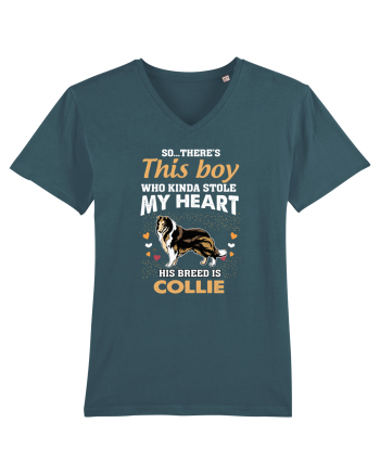 COLLIE Stargazer