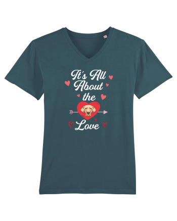 GOLDEN RETRIEVER Stargazer