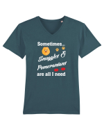 POMERANIAN Tricou mânecă scurtă guler V Bărbat Presenter