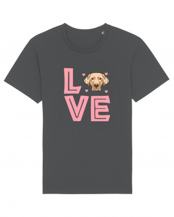 GOLDEN RETRIEVER Anthracite