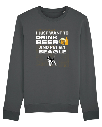 BEAGLE Anthracite