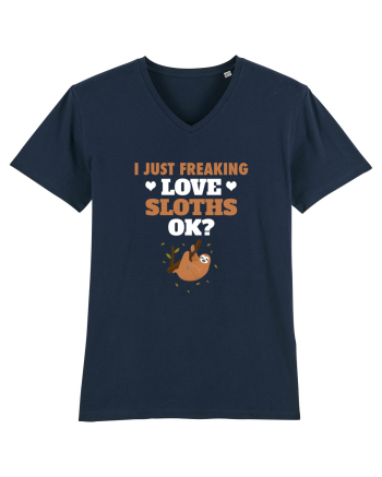 SLOTHS French Navy