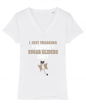 SUGAR GLIDERS White