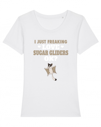 SUGAR GLIDERS White