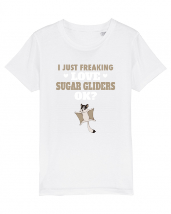 SUGAR GLIDERS White