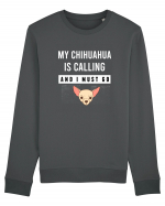 CHIHUAHUA Bluză mânecă lungă Unisex Rise