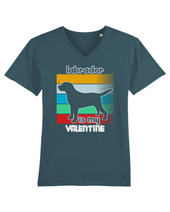 Labrador Is My Valentine Stargazer