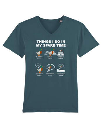 DUCKS Stargazer
