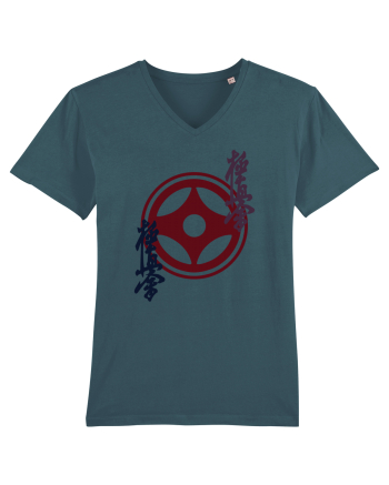 Kyokushin Karate  Stargazer