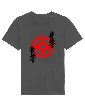 Kyokushin Karate  Anthracite