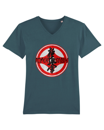 Kyokushin Karate  Stargazer