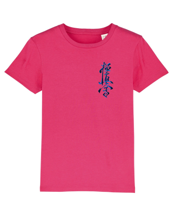 Kyokushin Karate  Raspberry