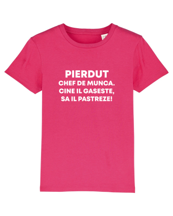 PIERDUT CHEF DE MUNCA Raspberry