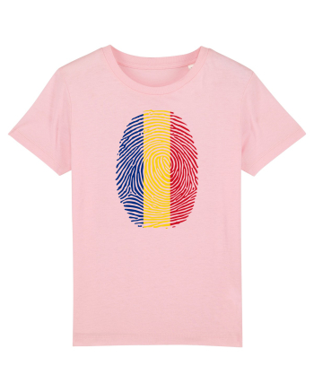 AMPRENTA TRICOLOR Cotton Pink