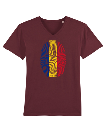 AMPRENTA TRICOLOR Burgundy