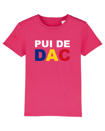 PUI DE DAC Raspberry