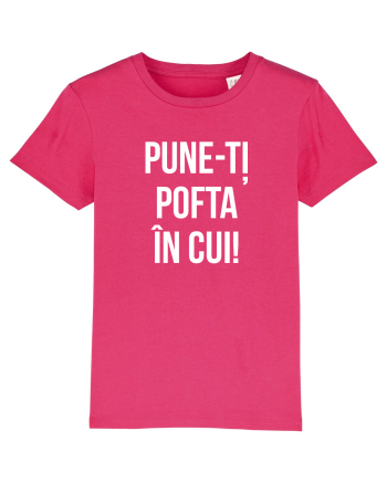 PUNE POFTA IN CUI Raspberry