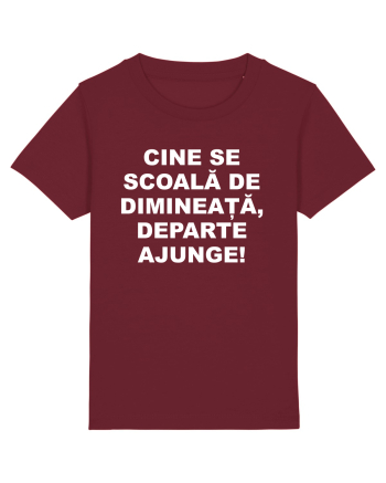 DIMINEATA Burgundy