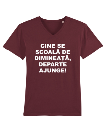 DIMINEATA Burgundy