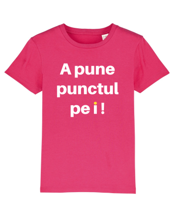 PUNCTUL PE I Raspberry