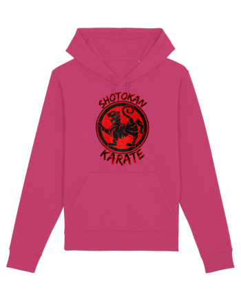 Shotokan Karate Raspberry
