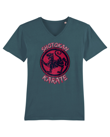Shotokan Karate Stargazer