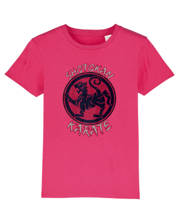 Shotokan Karate Raspberry