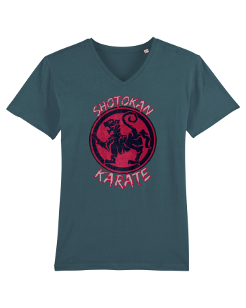 Shotokan Karate Stargazer
