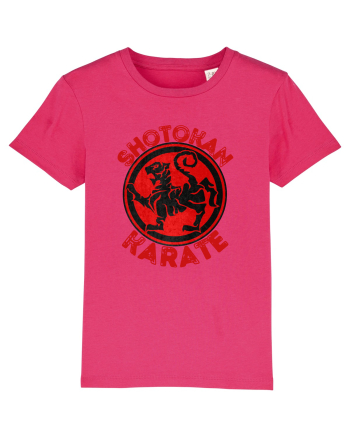 Shotokan Karate Raspberry