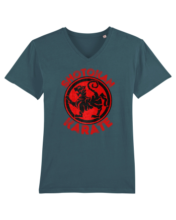Shotokan Karate Stargazer