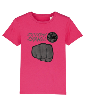Shotokan Karate Raspberry
