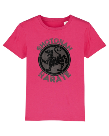 Shotokan Karate Raspberry