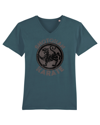 Shotokan Karate Stargazer