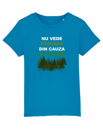 PROVERB Azur
