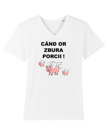 CAND OR ZBURA PORCII White