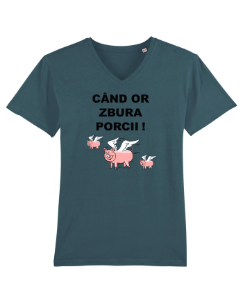 CAND OR ZBURA PORCII Stargazer